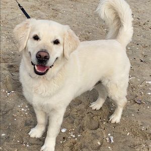 Meet your Posher, Blake